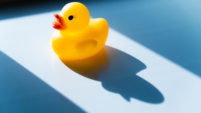 お風呂のアヒルはなぜ定番？愛され続ける理由とかわいい魅力をやさしく解説